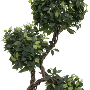 EUROPALMS Ficus Multi Spiral Trunk műnövény, 160 cm 82501563