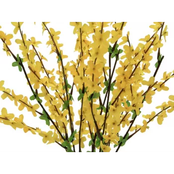 EUROPALMS mű aranyvesszőbokor, 60 cm 82505629