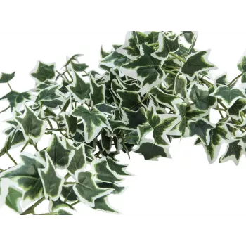 EUROPALMS Holland Ivy Bush Screen Classic, mű, 100 cm 82502212