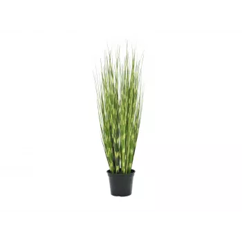 EUROPALMS zebrafű, mű, 90 cm 82505863