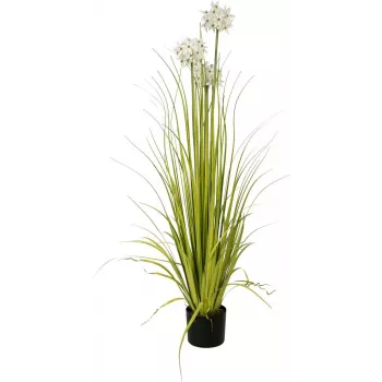 EUROPALMS Allium fű műnövény, fehér, 120 cm 82600169