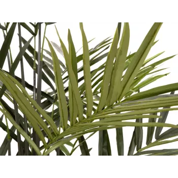 EUROPALMS Kentia pálma műnövény 300cm 82511369