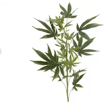 EUROPALMS mű kenderág, 90cm, zöld 82506699