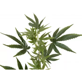 EUROPALMS mű kenderág, 90cm, zöld 82506699