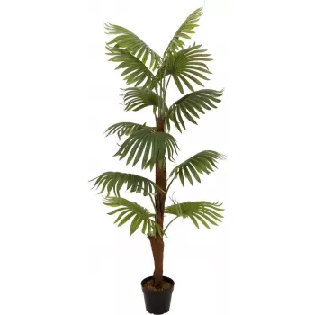 EUROPALMS legyezőpálma műnövény, 155 cm 82509303