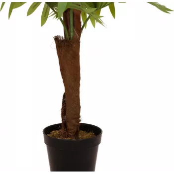 EUROPALMS legyezőpálma műnövény, 155 cm 82509303
