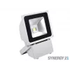SYNERGY21 S21-LED-TOM01157 LED kültéri reflektor 80W szürke ház hidegfehér V3