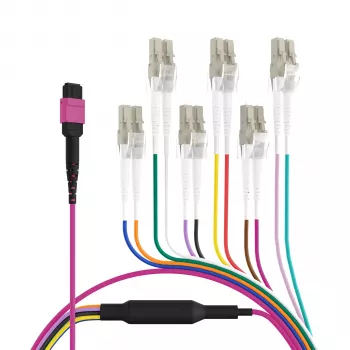 EFB Elektronik MPO-PLUS (F)–LC trunk kábel, OM4, 12 szál, B típus, LSZH, Erika-lila, 1m MPOF12LCOM4-1
