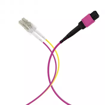 EFB Elektronik MPOF08LCOM4-10 MPO-PLUS (F) - LC trunk kábel, OM4, 8 szál, B típus, LSZH, Erika-ibolya, 10 m
