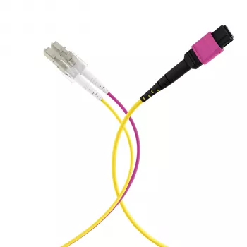 EFB Elektronik MPOF12LCOM4-5 MPO-PLUS (F)–LC duplex trunk kábel, OM4, 12 szál, Type B, LSZH, hangafalila, 5 m