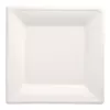 PAPSTAR pure négyzet alakú cukornád tányérok 260 x 260 mm, 12 darabos csomag, komposztálható, mikrohullámú sütőben használható 89755