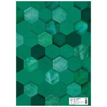 HERMA X füzetborító, karton, DIN A4, sötétzöld, 10 darab 20087