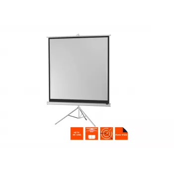 celexon Economy állványos vetítővászon 133 x 133 cm White Edition