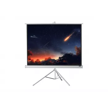 celexon Economy állványos vetítővászon 133 x 133 cm White Edition