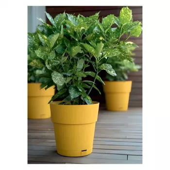 STEFANPLAST Ethica virágcserép alátéttel, Ø40x39 cm, mustársárga