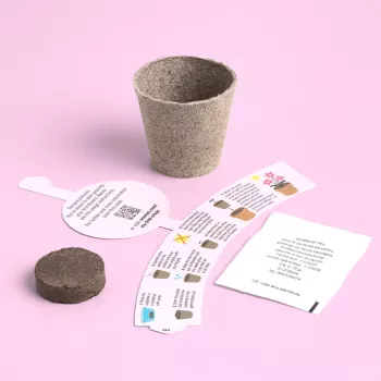 Resetea My First Crops – virágnevelő készlet (Erst441)