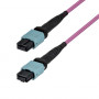 StarTech.com OM4MTP12BOFNP7M MTP/MPO-12 többmódusú optikai patch kábel (7 m)
