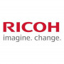 Ricoh D0BN2243 developer sárga