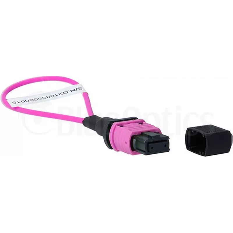 BlueOptics loopback adapter MPO/MTP multimód OM4