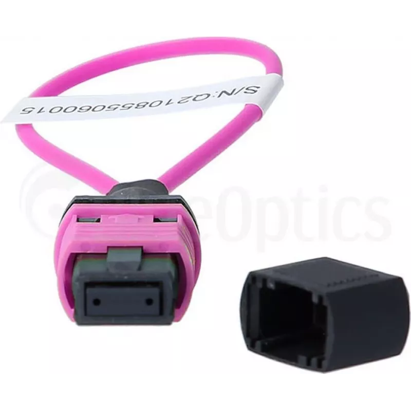 BlueOptics loopback adapter MPO/MTP multimód OM4