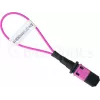 BlueOptics loopback adapter MPO/MTP multimód OM4