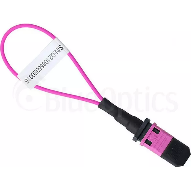 BlueOptics loopback adapter MPO/MTP multimód OM4