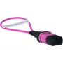 BlueOptics loopback adapter MPO/MTP multimód OM4
